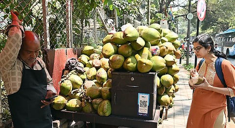 ಎಳನೀರು ವ್ಯಾಪಾರ