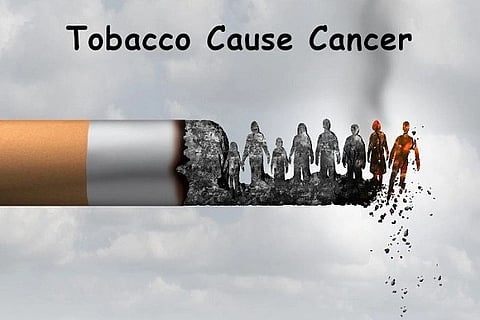 tobacco