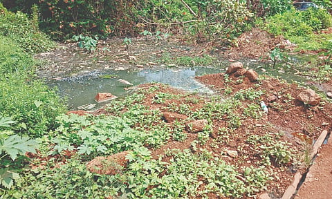  ಮುಡಿಪು ಜಂಕ್ಷನ್ ಬಳಿಯಿರುವ ತ್ಯಾಜ್ಯ ನೀರಿನ ಕೃತಕ ಕೊಳ.