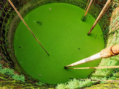  ದರ್ಗಾ ಮುಂಭಾಗದಲ್ಲಿರುವ ತೆರೆದ ಬಾವಿ.