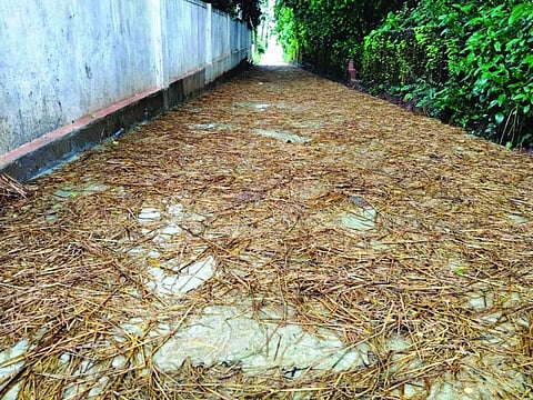 ರೋಡ್ ಪೂರ್ಣಗೊಂಡ ಮಡ್ಯಾರ್ ರಾಮಾಶ್ರಯ ರಸ್ತೆ.