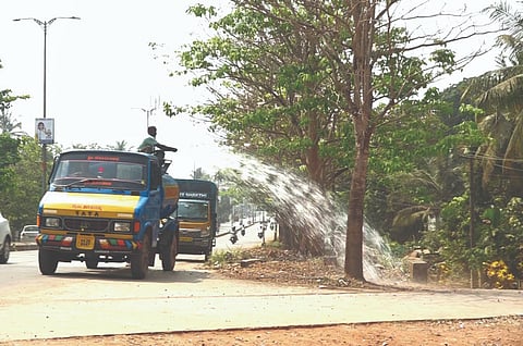 ಮರಗಳಿಗೆ ನೀರು ಹಾಕುತ್ತಿರುವುದು.