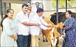 ನೆಲಮಂಗಲದ ಪಶುಪಾಲನಾ ಆಸ್ಪತ್ರೆಯಲ್ಲಿ ಆಯೋಜಿಸಿದ್ದ ಕಾಲುಬಾಯಿ ಲಸಿಕಾ ಅಭಿಯಾನಕ್ಕೆ ನಗರಸಭೆ ಅಧ್ಯಕ್ಷ ಎನ್​.ಗಣೇಶ್​ ಚಾಲನೆ ನೀಡಿದರು. ಗ್ರೇಡ್​&2 ತಹಸೀಲ್ದಾರ್​ ಕಲಾವತಿ, ಪಶು ವೈದ್ಯಾಧಿಕಾರಿ ಡಾ.ಮಸೂದ್​ಖಾನ್​, ಡಾ.ನಾಗರಾಜು, ಜಾನುವಾರು ಅಭಿವೃದ್ಧಿ ಅಧಿಕಾರಿ ಮಲ್ಲೇಶ್​ ಇತರರು ಇದ್ದರು.