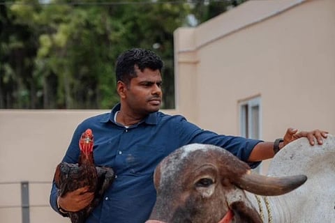 Annamalai | ಕೆ. ಅಣ್ಣಾಮಲೈ