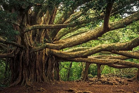 ಸಾಂದರ್ಭಿಕ ಚಿತ್ರ 