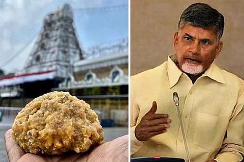 ತಿರುಪತಿ ಲಡ್ಡು ವಿವಾದಕ್ಕೆ ಹೊಸ ಟ್ವಿಸ್ಟ್​