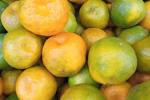 ಕಿತ್ತಳೆ ಹಣ್ಣು