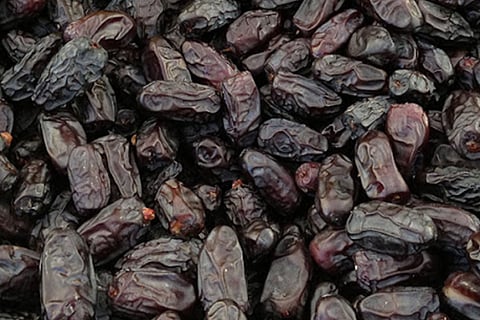 ಕಪ್ಪು ಖರ್ಜೂರ