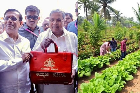 Karnataka Budget 2026-27 | ತೋಟಗಾರಿಕೆಗೆ ಹೈ-ವೋಲ್ಟೇಜ್ ಬೂಸ್ಟ್