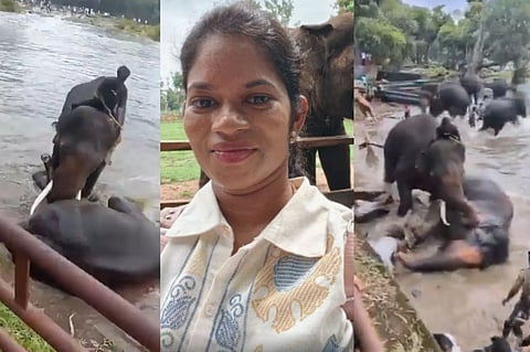 ದುಬಾರೆ ಆನೆ ಕಾದಾಟದಲ್ಲಿ ಮೃತಪಟ್ಟ ಮಹಿಳೆ