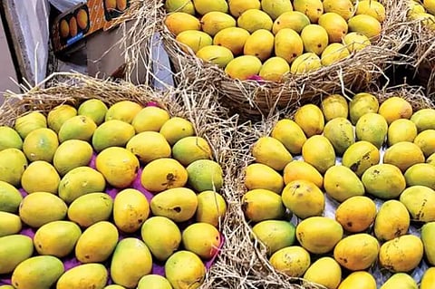 ಮಾವಿನ ಹಣ್ಣು
