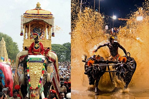 ಮೈಸೂರು ದಸರಾದಲ್ಲಿ ಕಂಬಳ ಆಯೋಜನೆ