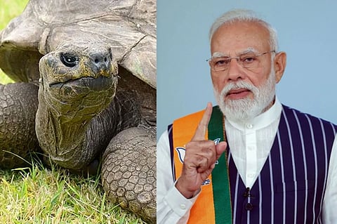 193 ವರ್ಷ ಹಳೆಯ ಆಮೆ ಜೊನಾಥಾನ್​, ಪ್ರಧಾನಿ ನರೇಂದ್ರ ಮೋದಿ