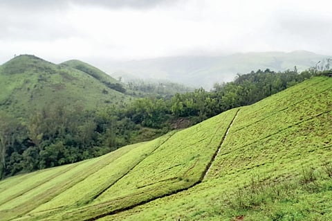 ಪಶ್ಚಿಮ ಘಟ್ಟದಲ್ಲಿ ಪಂಪ್ಡ್ ಸ್ಟೋರೇಜ್ ಯೋಜನೆ?