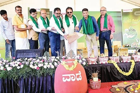 ‘ವಿಜಯವಾಣಿ’ ದಿನಪತ್ರಿಕೆಯಿಂದ ಮೈಸೂರಿನ ಮಹಾರಾಜ ಕಾಲೇಜು ಮೈದಾನದಲ್ಲಿ ಆಯೋಜಿಸಿದ್ದ ಮೂರು ದಿನಗಳ ರಾಜ್ಯ ಮಟ್ಟದ ಕೃಷಿ ಮೇಳವನ್ನು ವಾಡೆಗೆ ರಾಗಿ ಸುರಿಯುವ ಮೂಲಕ ಕೃಷಿ ಸಚಿವ ಎನ್.ಚಲುವರಾಯಸ್ವಾಮಿ ಶುಕ್ರವಾರ ಉದ್ಘಾಟಿಸಿದರು. 
