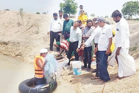 ಅಮೀನಗಡದ ಮತ್ಸೃ ಸಂಜೀವಿನಿ ಕೃಷಿ ಯೋಜನಾ ಘಟಕಕ್ಕೆ ತಾಪಂ ಇಒ ಅಮರೇಶ ಯಾದವ ಭೇಟಿ ನೀಡಿ ಪರಿಶೀಲಿಸಿದರು. ಗ್ರಾಪಂ ಅಧ್ಯಕ್ಷೆ ಬಸವಲಿಂಗಮ್ಮ ನಾಯಕ, ಪಿಡಿಒ ತಿಮ್ಮಪ್ಪ ನಾಯಕ, ತಾಪಂ ಸಿಬ್ಬಂದಿ ಈರಪ್ಪ, ಮೌನೇಶ, ಪ್ರಕಾಶ, ಭವಾನಿ, ಅಂಬೇಡ್ಕರ್ ಮಹಿಳಾ ಸಂಘದ ಅಧ್ಯಕ್ಷೆ ಸಂಗೀತಾ, ಜಮೀಲಾ ಬೇಗಂ, ಗಂಗಮ್ಮ, ಭಾಗ್ಯವಂತಿ, ಮೌನಮ್ಮ, ಅಮರೇಶ ಇತರರಿದ್ದರು.