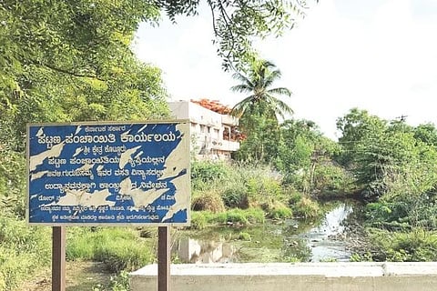 ಕೊಟ್ಟೂರಿನ ಜವಳೇರ ಗುರುಬಸಮ್ಮ ಲೇಔಟ್‌ನಲ್ಲಿ ಚರಂಡಿ ನೀರು ನಿಂತಿರುವುದು. 