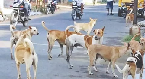 ಸಾಂದರ್ಭಿಕ ಫೋಟೊ