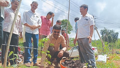 ಸಿದ್ದಾಪುರ ತಾಲೂಕಿನ ಹಾರ್ಸಿಕಟ್ಟಾ ಅಘನಾಶಿನಿ ಸ್ಪೈಸ್ ಪ್ರೊಡ್ಯುಸರ್ ಕಂಪನಿ ಎದುರಿನ ಹೊಳೆಯಂಚಿನಲ್ಲಿ ವನಮಹೋತ್ಸವಕ್ಕೆ  ಅಜಯಕುಮಾರ ಎಂ.ಎಸ್. ಚಾಲನೆ ನೀಡಿದರು. ಎಸ್. ಆರ್. ಹೆಗಡೆ ಕುಂಬಾರಕುಳಿ, ಉಮಾಕಾಂತ ಹೆಗಡೆ, ಜಿ.ಆರ್. ಹೆಗಡೆ ಬೆಳ್ಳೆಕೇರಿ ಇತರರಿದ್ದರು.