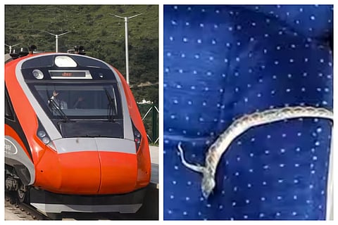 Passengers panic as dead viper spotted on Bengaluru-bound Vande Bharat seat
