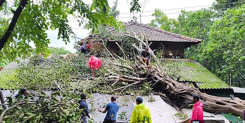 ಮಂಗಳವಾರದ ಗಾಳಿ-ಮಳೆಗೆ WIND ಶಿರಸಿ ತಾಲೂಕಿನ ಅನೇಕ ಕಡೆಗಳಲ್ಲಿ ಮನೆಗಳ ಮೇಲೆ ಮರ ಬಿದ್ದಿದೆ.