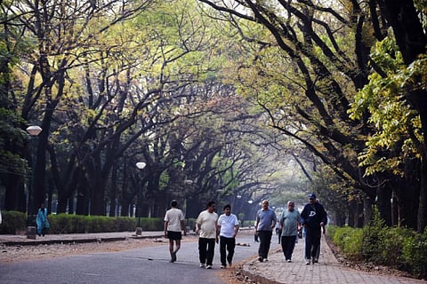 Walking Benefits