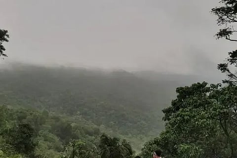 ಪಶ್ಚಿಮ ಘಟ್ಟದ ಸೂಕ್ಷ್ಮ ಪರಿಸರ 
