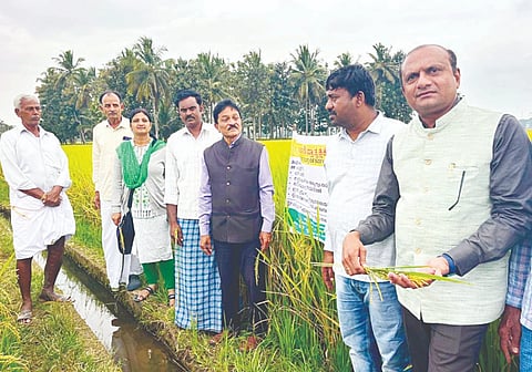 ನಂಜನಗೂಡು ತಾಲೂಕಿನ ನಗರ್ಲೆ ಗ್ರಾಮದಲ್ಲಿ ಐಸಿಎಆರ್ ಜೆಎಸ್‌ಎಸ್ ಕೃಷಿ ವಿಜ್ಞಾನ ಕೇಂದ್ರದ ವತಿಯಿಂದ ವಿಶ್ವ ಮಣ್ಣು ದಿನಾಚರಣೆ ಹಾಗೂ ಸಹ್ಯಾದ್ರಿ ಕೆಂಪು ಮುಕ್ತಿ ಭತ್ತದ ತಳಿಯ ಕ್ಷೇತ್ರೋತ್ಸವ ಆಚರಿಸಲಾಯಿತು.  ಡಾ. ದುಶ್ಯಂತ್, ಡಾ. ಬಿ.ಎನ್.ಜ್ಞಾನೇಶ್, ಶಾಮರಾಜು, ಎಚ್.ವಿ.ದಿವ್ಯಾ, ಗುರುಸ್ವಾಮಿ ಇದ್ದರು.