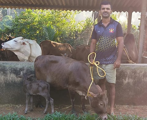 ಮಲೆನಾಡು ಗಿಡ್ಡ ತಳಿಯ ಹಸುವಿನ ಜತೆ ಪಾಲಕ ಪ್ರವೀಣ್ ಬೆಳ್ಳಾರೆ​ 