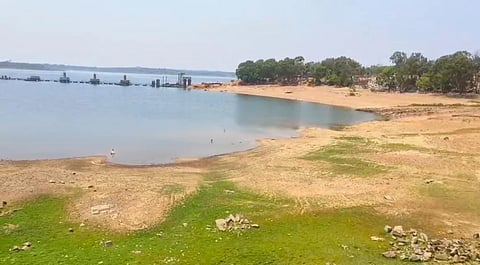 ಹೇಮಾವತಿ ಹಿನ್ನೀರು ಬರಿದಾಗಿರುವುದು.