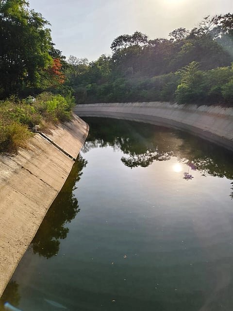 ಹೇಮಾವತಿ ನಾಲೆ