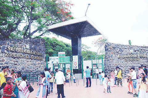 ಶ್ರೀ ಚಾಮರಾಜೇಂದ್ರ ಮೃಗಾಲಯ