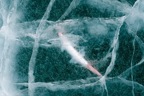 Permafrost