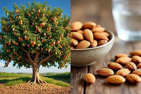 ಸಾಂದರ್ಭಿಕ ಚಿತ್ರ