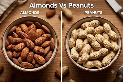 Almonds Vs Peanuts ಸಾಂದರ್ಭಿಕ ಚಿತ್ರ