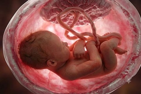 Babies Breathe ಸಾಂದರ್ಭಿಕ ಚಿತ್ರ