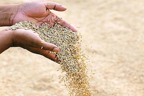 ಸಾಂದರ್ಭಿಕ ಚಿತ್ರ 