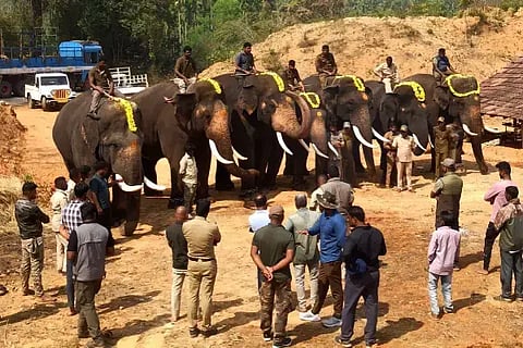  ಬಾಳೆಹೊನ್ನೂರು ಸಮೀಪದ ಹ್ಯಾರಂಬಿಪುರ ಗ್ರಾಮದಲ್ಲಿ ಕಾಡಾನೆಗಳ ಸೆರೆ ಕಾರ್ಯಾಚರಣೆಗೆ ಸಕ್ರೆಬೈಲು ಆನೆ ಬಿಡಾರದ ಆನೆಗಳಿಗೆ ಪೂಜೆ ಸಲ್ಲಿಸುವ ಮೂಲಕ ಚಾಲನೆ ನೀಡಲಾಯಿತು.
