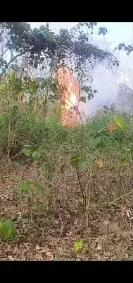 ಬಾಳೆಹೊನ್ನೂರು ಸಮೀಪದ ಬನ್ನೂರು ಬಳಿಯ ಜಕ್ಕಣಕ್ಕಿ-ಶೆಟ್ರುಪಾಲಿನ ಮೀಸಲು ಅರಣ್ಯದಲ್ಲಿ ಬೆಂಕಿ ಹೊತ್ತಿಕೊಂಡಿರುವುದು. 