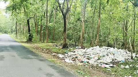 ಬಾಳೆಹೊನ್ನೂರು ಸಮೀಪದ ಹಲಸೂರು-ನೇಮನಹಳ್ಳಿ ಮೀಸಲು ಅರಣ್ಯ ಪ್ರದೇಶದಲ್ಲಿ ಕಸ ಸುರಿದಿರುವುದು.