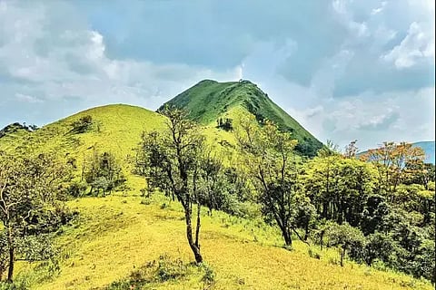 ಕೊಪ್ಪ ತಾಲೂಕಿನ ಬಸರೀಕಟ್ಟೆ ಸಮೀಪದಲ್ಲಿರುವ ಮೇರುತಿ ಪರ್ವತದ ತಪ್ಪಲು.