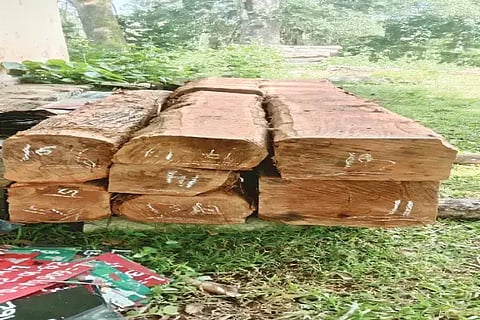  ಬಾಳೆಹೊನ್ನೂರು ವಲಯ ಅರಣ್ಯ ಇಲಾಖೆ ಅಧಿಕಾರಿಗಳು ವಶಪಡಿಸಿಕೊಂಡ ಅಕ್ರಮ ನಾಟಾ.