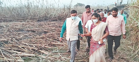 ಮುಧೋಳ ತಾಲೂಕಿನ ರೋಗಿ ಗ್ರಾಮ ವ್ಯಾಪ್ತಿಗೆ ಬರುವ ಕಬ್ಬಿನ ಹೊಲಗಳಿಗೆ ವಿದ್ಯುತ್ ಶಾರ್ಟ್ ಸರ್ಕ್ಯೂಟ್‌ನಿಂದ ಬೆಂಕಿ ಹತ್ತಿ 150 ರಿಂದ 200 ಎಕರೆ ಕಬ್ಬು ಸುಟ್ಟಿದ್ದು, ಸ್ಥಳಕ್ಕೆ ಜಿಲ್ಲಾಧಿಕಾರಿ ಸಂಗಪ್ಪ, ಉಪ ವಿಭಾಗಾಧಿಕಾರಿ ಶ್ವೇತಾ ಬೀಡಕರ್ ಹಾಗೂ ಇತರೆ ಇಲಾಖೆ ಅಧಿಕಾರಿಗಳು ಭೇಟಿ ನೀಡಿ ಪರಿಶೀಲಿಸಿದರು.