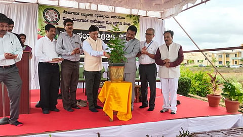 ಬಾಗಲಕೋಟೆ ತೋಟಗಾರಿಕೆ ವಿವಿ ಆವರಣದಲ್ಲಿ ಶನಿವಾರ ಸಸ್ಯ ಸಂತೆಗೆ ಜಿಲ್ಲಾಽಕಾರಿ ಸಂಗಪ್ಪ ಹಾಗೂ ವಿವಿ ಕುಲಪತಿ ಡಾ. ವಿಷ್ಣುವರ್ಧನ ಸಸಿಗೆ ನೀರೂಣಿಸುವ ಮೂಲಕ ಚಾಲನೆ ನೀಡಿದರು. ಡಾ. ತಮ್ಮಯ್ಯ, ಡಾ.-Àಕ್ರುದ್ಧೀನ್ ಇತರರು ಇದ್ದರು.