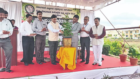 ಬಾಗಲಕೋಟೆ ತೋಟಗಾರಿಕೆ ವಿವಿ ಆವರಣದಲ್ಲಿ ಶನಿವಾರ ಸಸ್ಯ ಸಂತೆಗೆ ಜಿಲ್ಲಾಧಿಕಾರಿ ಸಂಗಪ್ಪ ಹಾಗೂ ವಿವಿ ಕುಲಪತಿ ಡಾ. ವಿಷ್ಣುವರ್ಧನ ಸಸಿಗೆ ನೀರೂಣಿಸುವ ಮೂಲಕ ಚಾಲನೆ ನೀಡಿದರು. ಡಾ. ತಮ್ಮಯ್ಯ, ಡಾ. ಫಕ್ರುದ್ಧೀನ್ ಇತರರಿದ್ದರು.