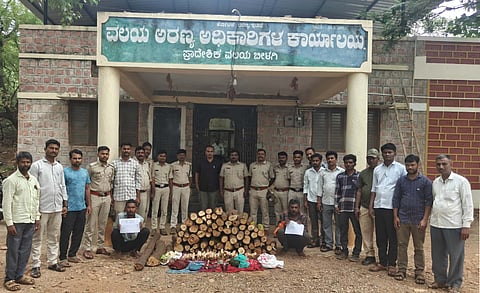 ಬೀಳಗಿ ಅಮಲಝರಿ ಅರಣ್ಯ ಪ್ರದೇಶದಲ್ಲಿ ಅಕ್ರಮವಾಗಿ ಶ್ರೀಗಂಧ ಸಾಗಿಸುತ್ತಿದ್ದ ಅಂತಾರಾಜ್ಯ ಕಳ್ಳರನ್ನು ಬಂಽಸಿ, ವಶಪಡಿಸಿಕೊಂಡ ಶ್ರೀಗಂಧ ಕಟ್ಟಿಗೆಯೊಂದಿಗೆ ಅರಣ್ಯ ಇಲಾಖೆ ಅಧಿಕಾರಿಗಳು ಮತ್ತು ಸಿಬ್ಬಂದಿ. ಆರ್‌ಎಫ್‌ಒ ಅಮೃತ ಗಂಡೋಸಿ, ಸಿಬ್ಬಂದಿ ಬಿ.ಜಿ. ಕಮತಾರ, ಪ್ರಭು ಗುಡ್ಡಕಾರ, ವಿದ್ಯಾನಂದ ಹೊಸಮನಿ, ಯಲ್ಲಪ್ಪ ಹಿರೇಕುರಬರ, ವಿಠ್ಠಲ ಮುಲಿಮನಿ ಇತರರಿದ್ದರು.
