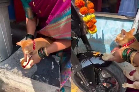 ಸಾಂದರ್ಭಿಕ ಚಿತ್ರ
