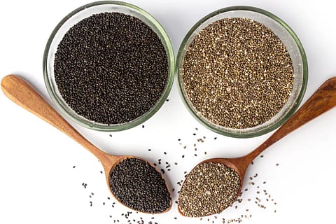 Basil Seeds VS Chia Seeds