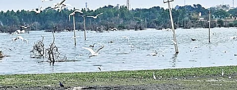 ಎಸ್‌ಟಿಪಿ ಸ್ಥಾಪನೆಗೆ ಕೊಡಲ್ಲ ಅನುದಾನ