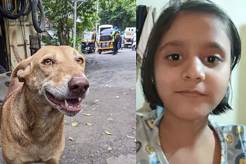 ಇಂಜೆಕ್ಷನ್​ ಭಯ, ರೇಬಿಸ್ ಲಸಿಕೆ ಹಾಕಿಸಿಕೊಳ್ಳದ 9 ವರ್ಷದ ಬಾಲಕಿ; ನಾಯಿ ಕಚ್ಚಿದ 6 ತಿಂಗಳ ನಂತ್ರ ಸಾವು